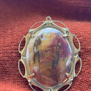 Natural petrified wood cabochon pendant